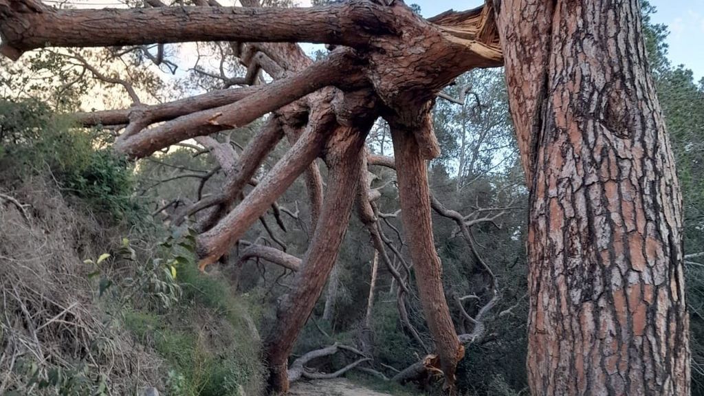 Fuertes rachas de viento en Tarragona