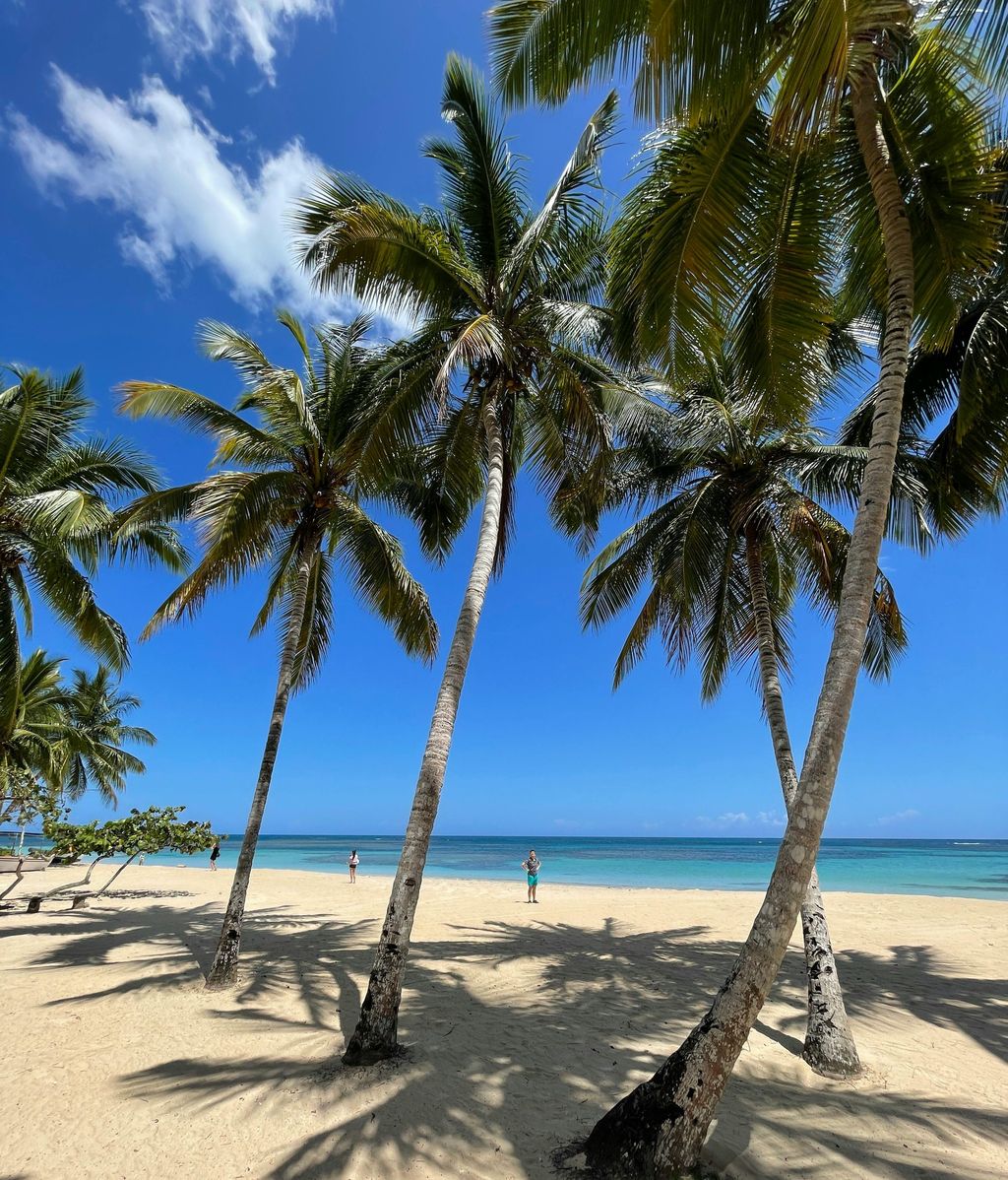 Samaná en República Dominicana. FUENTE: Pexels