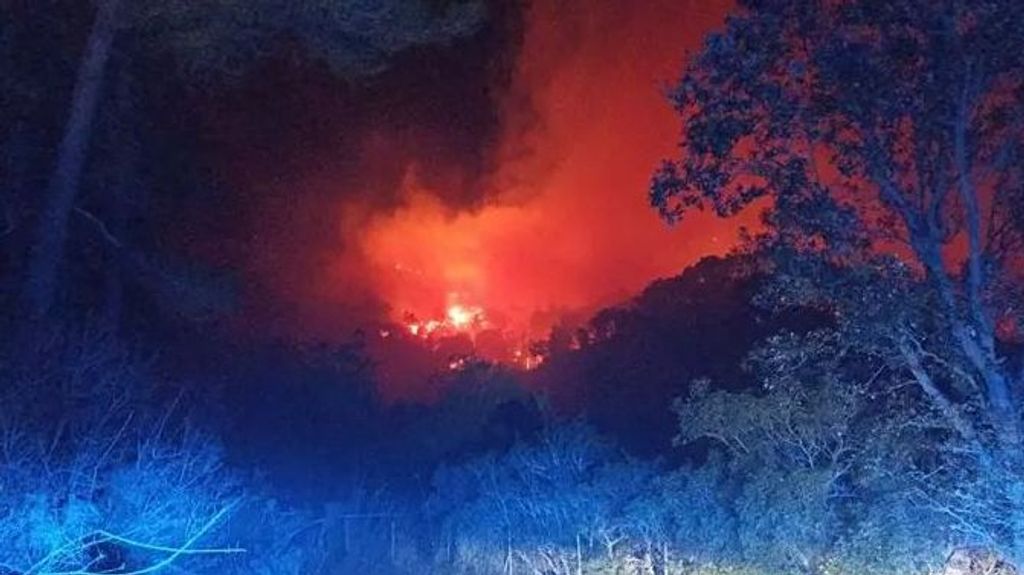 Un incendio forestal en Andratx, Mallorca, obliga a desalojar tres viviendas y calcina ya unas 50 hectáreas