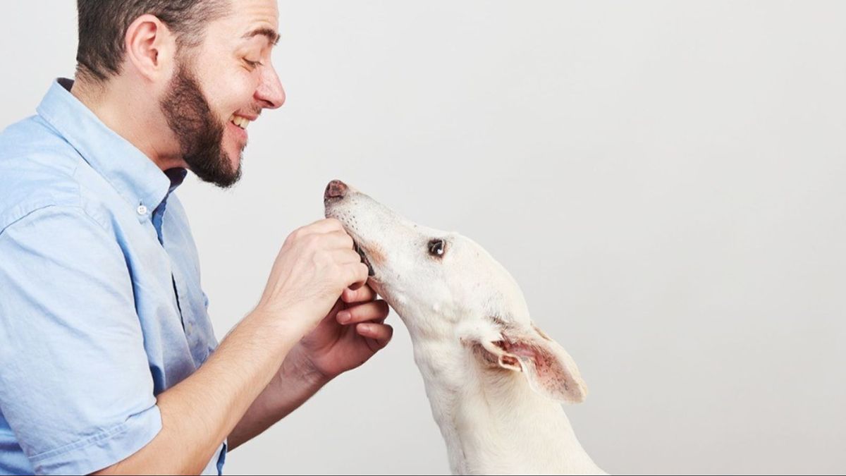 Eloi Sarrió, abogado de animales y director de Aboganimal