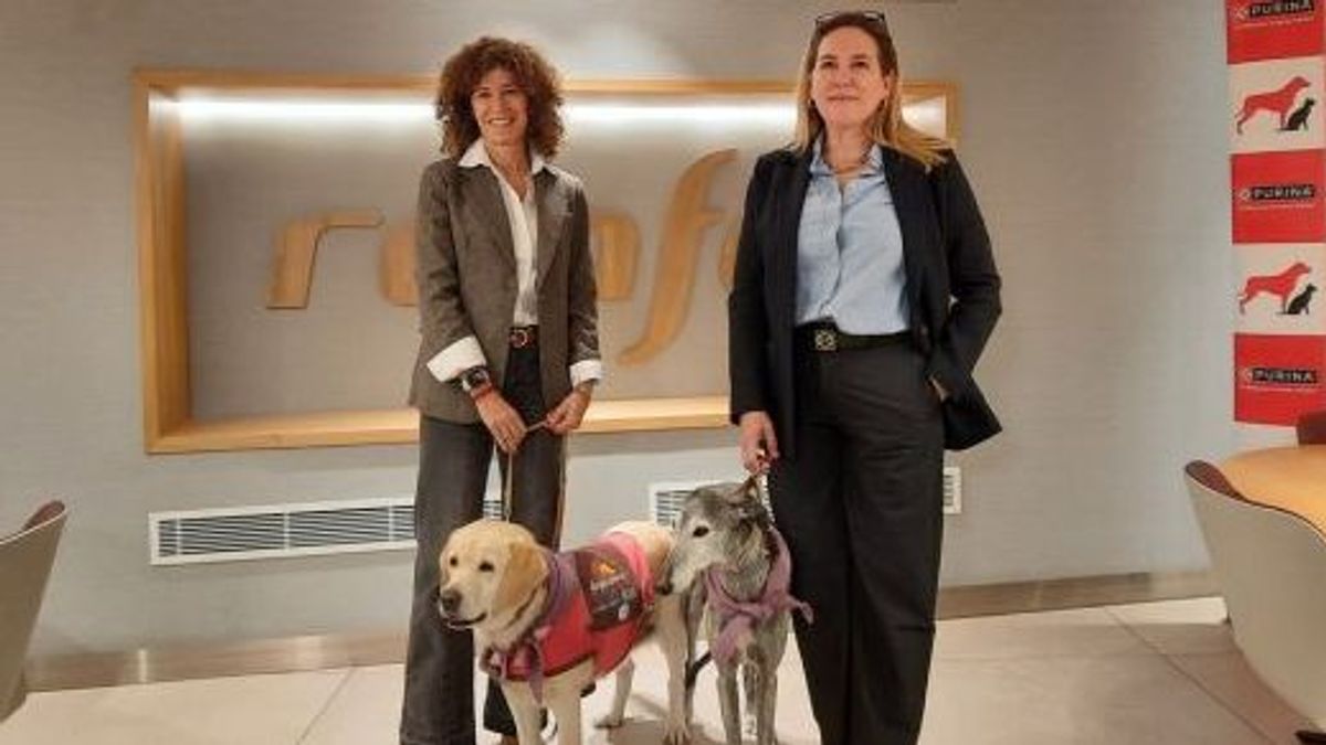 Renfe añade Madrid-Sevilla a rutas en las que se puede viajar con perros de hasta 40 kilos