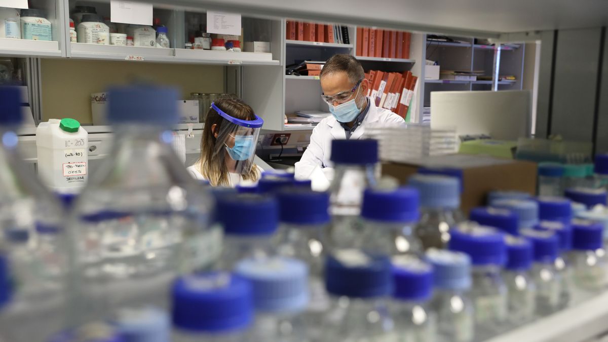 Científicos y muestras en un laboratorio