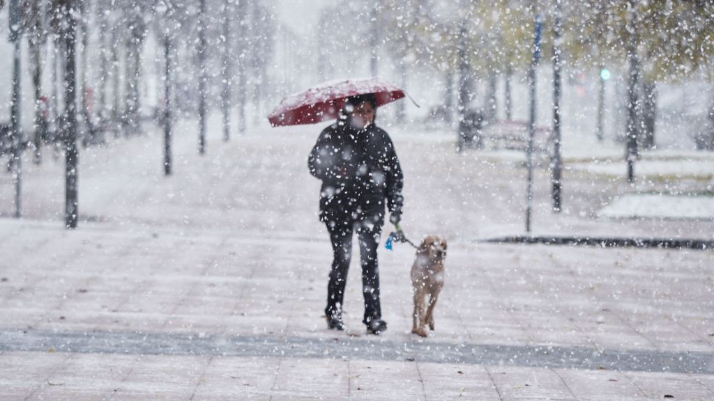 Una mujer camina junto a su perro mientras nieva