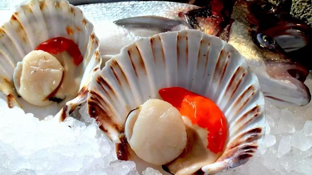 Distingue las zamburiñas de otros bivalvos