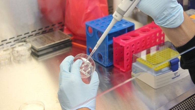 Francisco Miguel Cornejo, el investigador español que lidera no de los grandes avances de la ciencia sobre una simbiosis marina