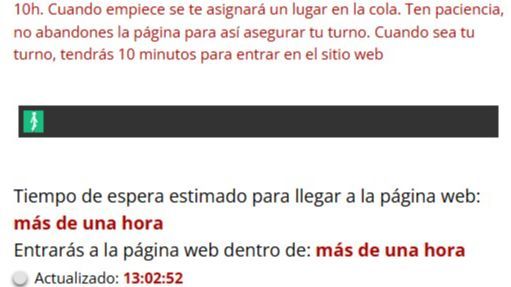 Imagen que aparece en la web al entrar en la cola, donde avisan que queda una hora de espera