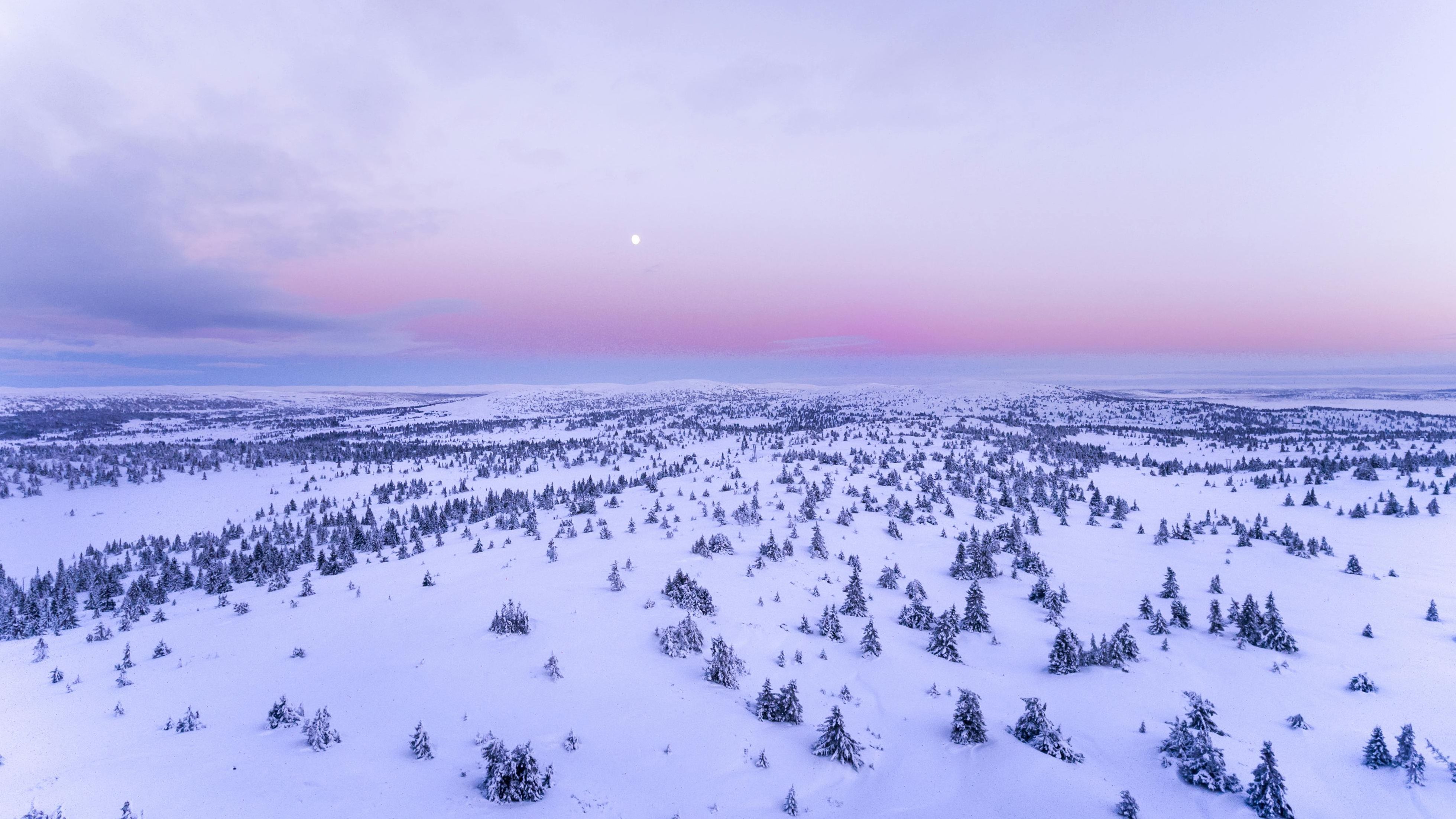 Paisaje invernal al atardecer