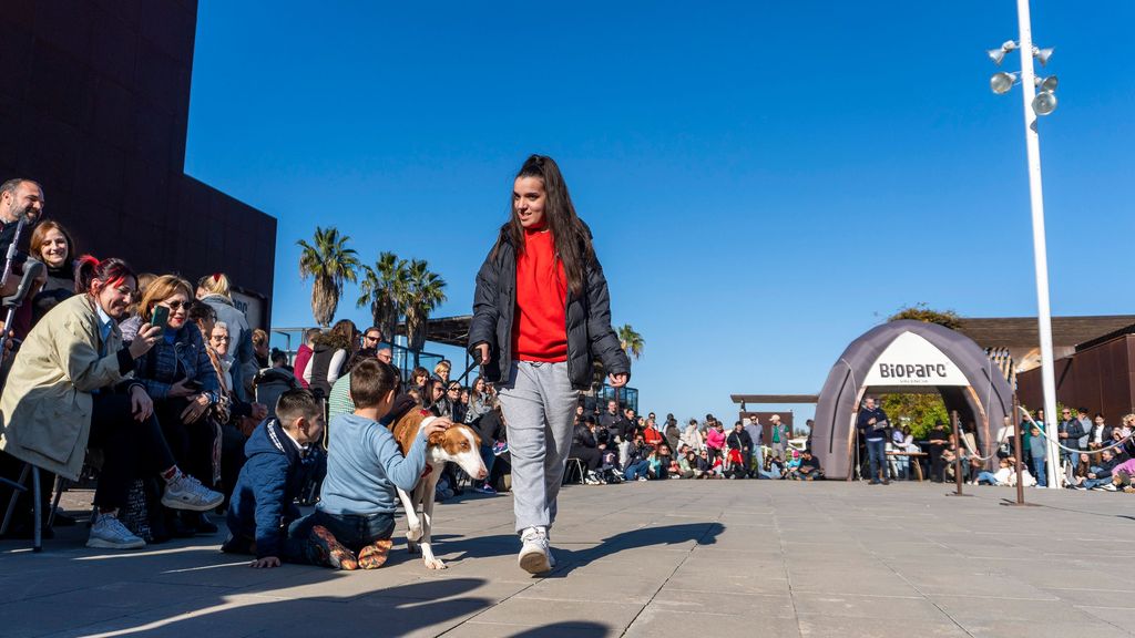 Desfile AUPA y Fundación BIOPARC para fomentar las adopciones de perros abandonados