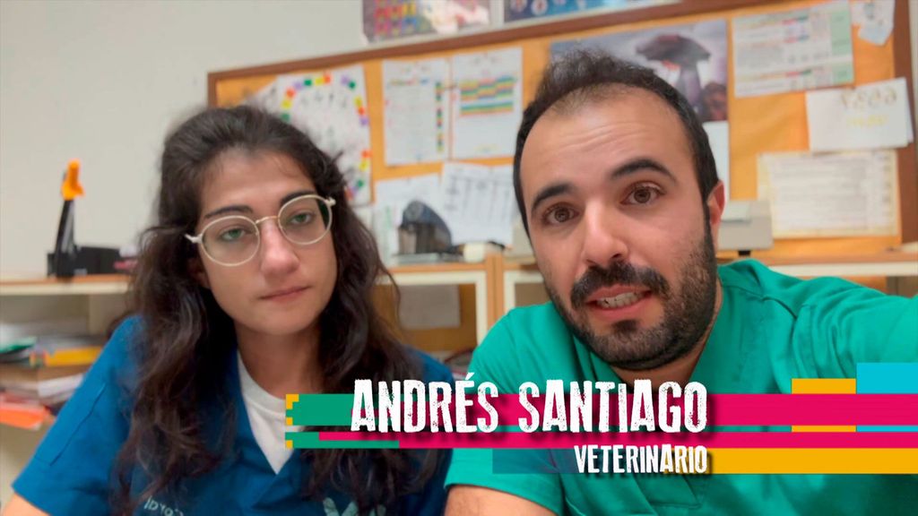 Hospital de campaña por la DANA para animales Iumiuky Temporada 3 Programa 245