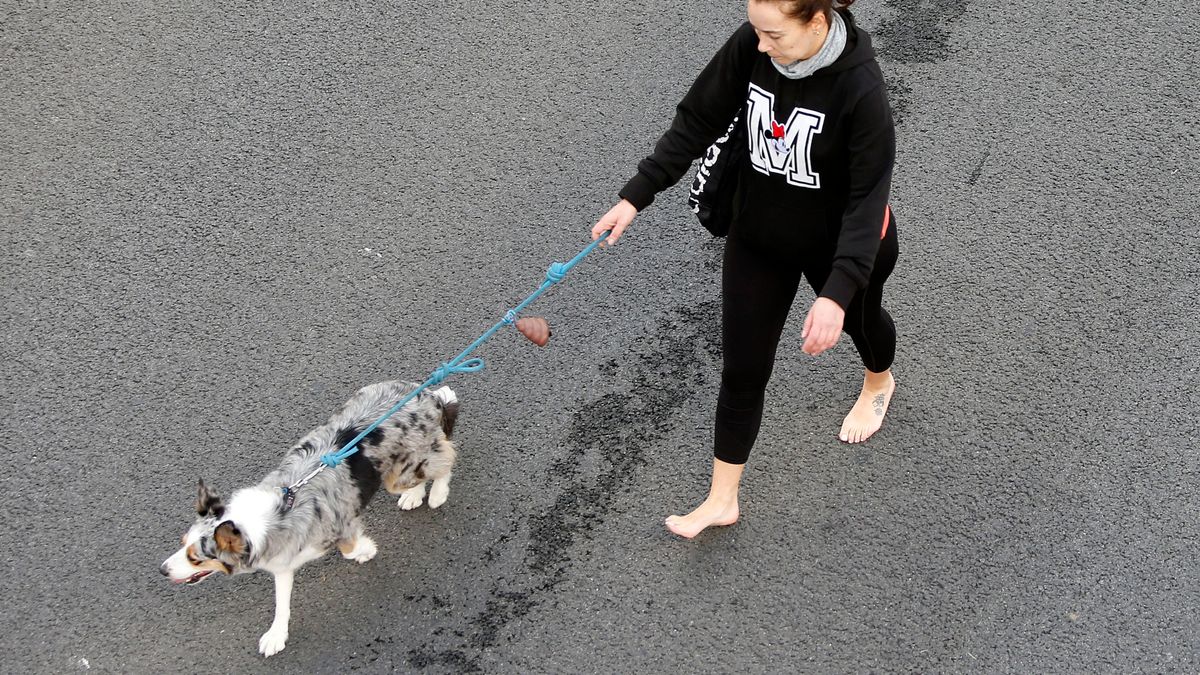 Una mujer con su  perro por la calle