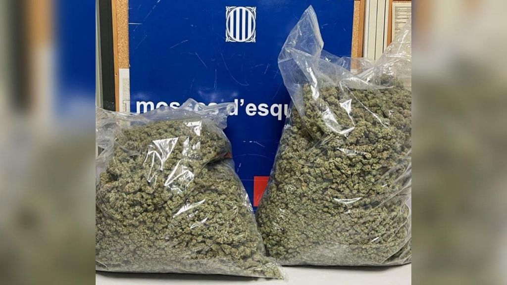 Pillados al sacar nueve kilos de marihuana de un taxi de madrugada en Barcelona