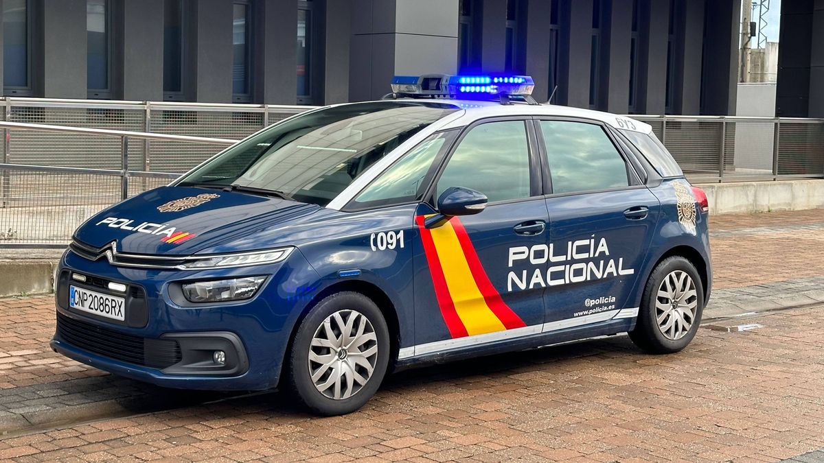 Un hombre de 42 años, detenido en Son Gotleu cuando intentó robar en un coche patrulla