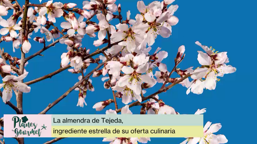 La almendra de Tejeda protagonista de la Fiesta del Almendro en Flor