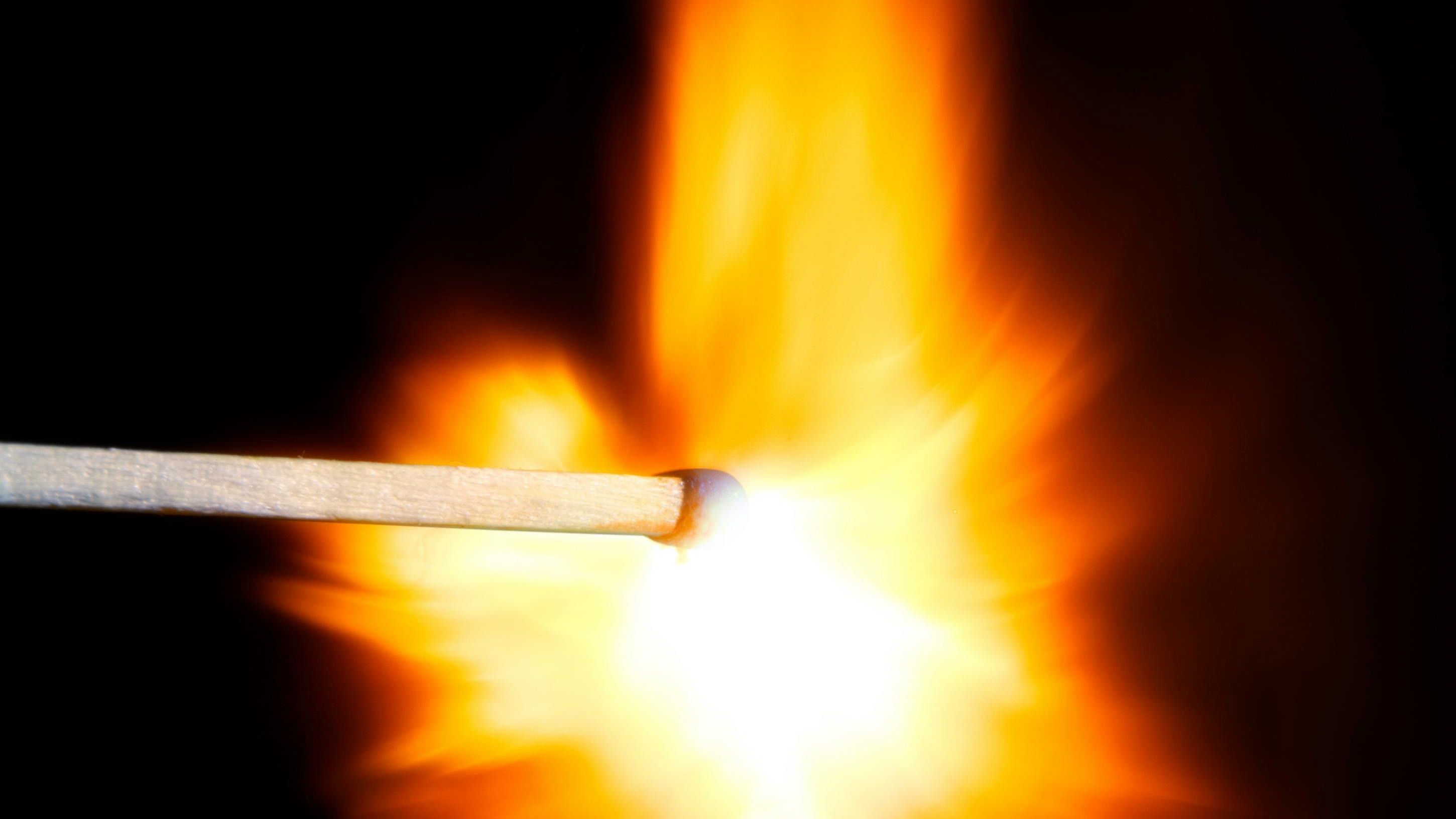 pexels bill emrich 64742 230812