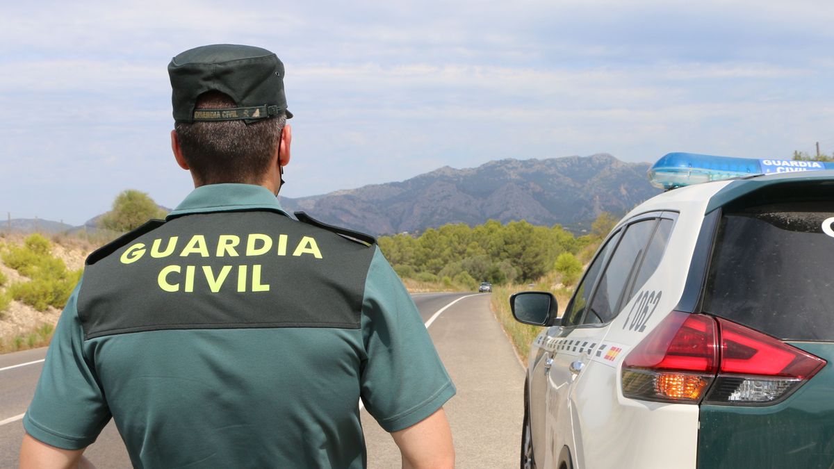 Un hombre muere tras ser presuntamente atacado por una oveja en una finca de Mallorca