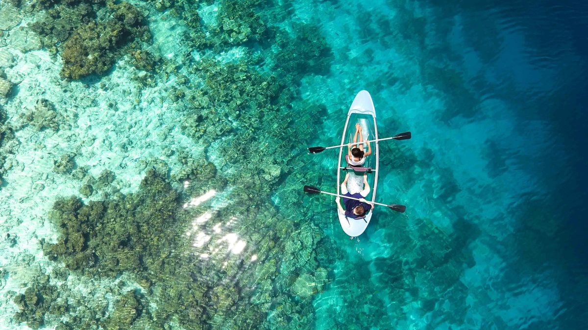 agua mar salada pexels