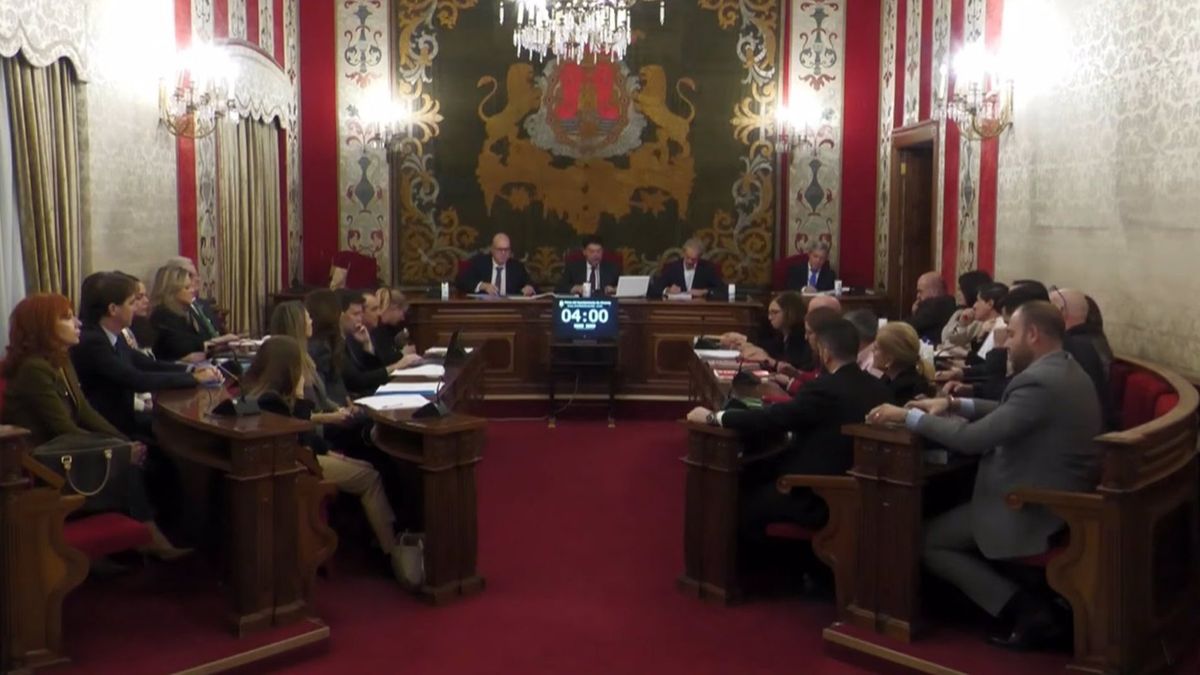 Pleno del Ayuntamiento de Alicante