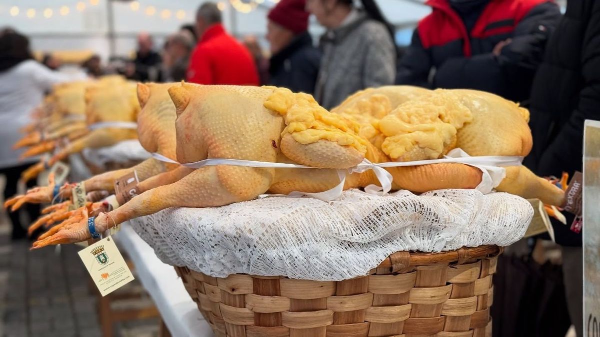 Capones en la feria de Vilalba, Lugo