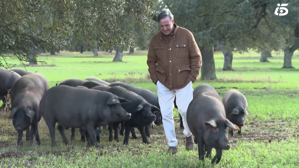 El mágico momento de la montanera