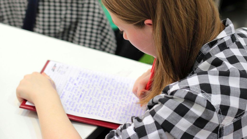 El sistema educativo español es muy variado pudiendo escoger la educación deseada