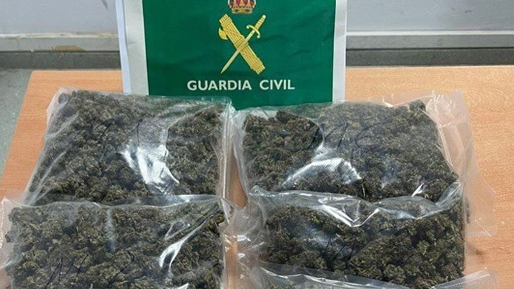 Paquetes de cogollos de marihuana intervenidos