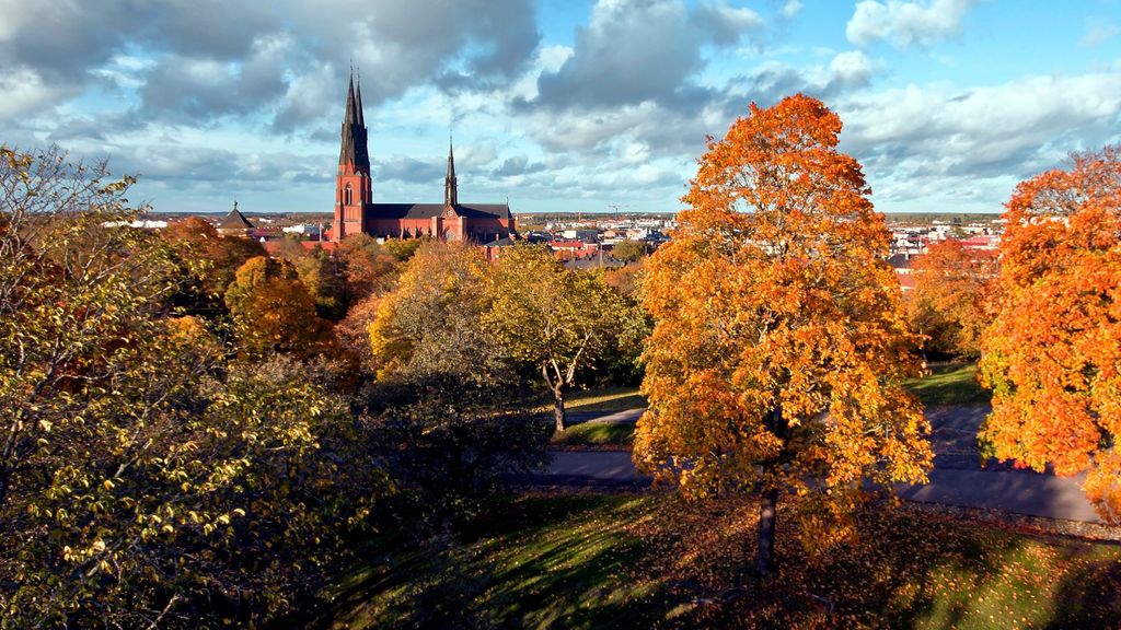 Ciudad de Uppsala (Suecia) con la catedral al fondo