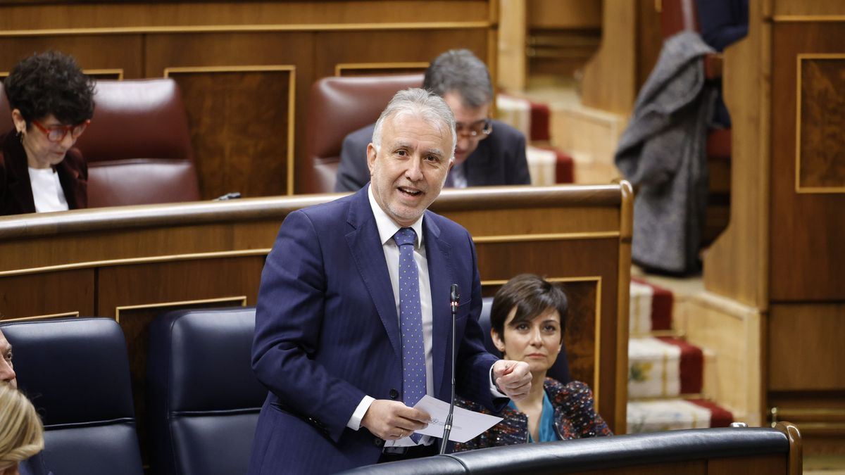 El PP volverá a llamar a Ángel Víctor Torres a la comisión de investigación del Senado