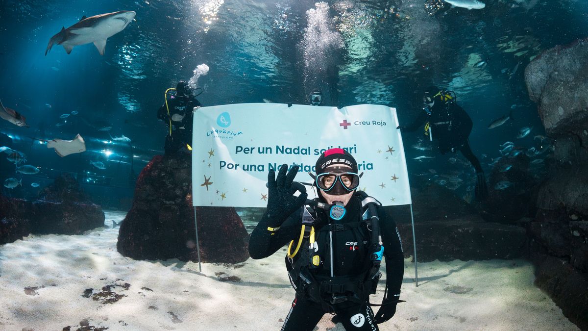 El chef Jordi Cruz nadando entre tiburones