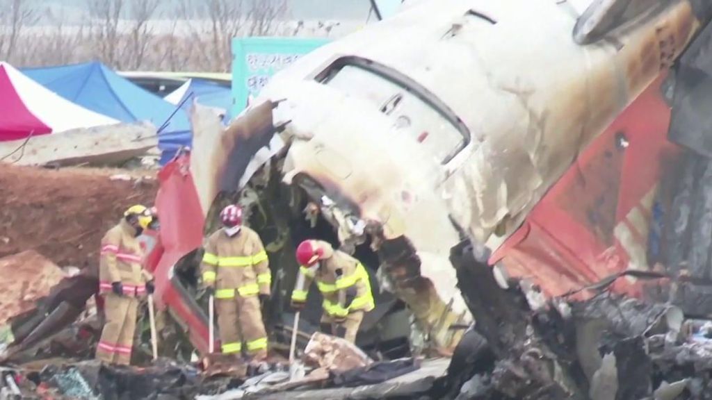 La imagen de la tragedia del accidente aéreo en Muan, Corea del Sur: cómo es posible que pájaros tumben a un avión