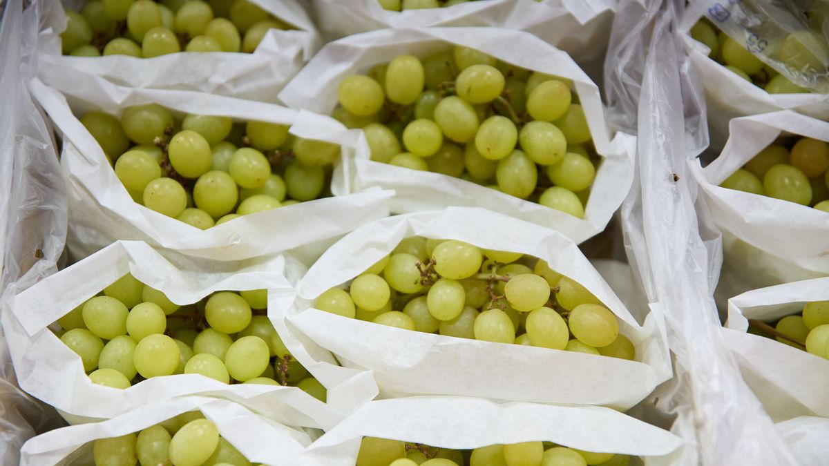 Las recomendaciones de los pediatras para esta Nochevieja: de cortar las uvas para los niños a evitar ciertos alimentos