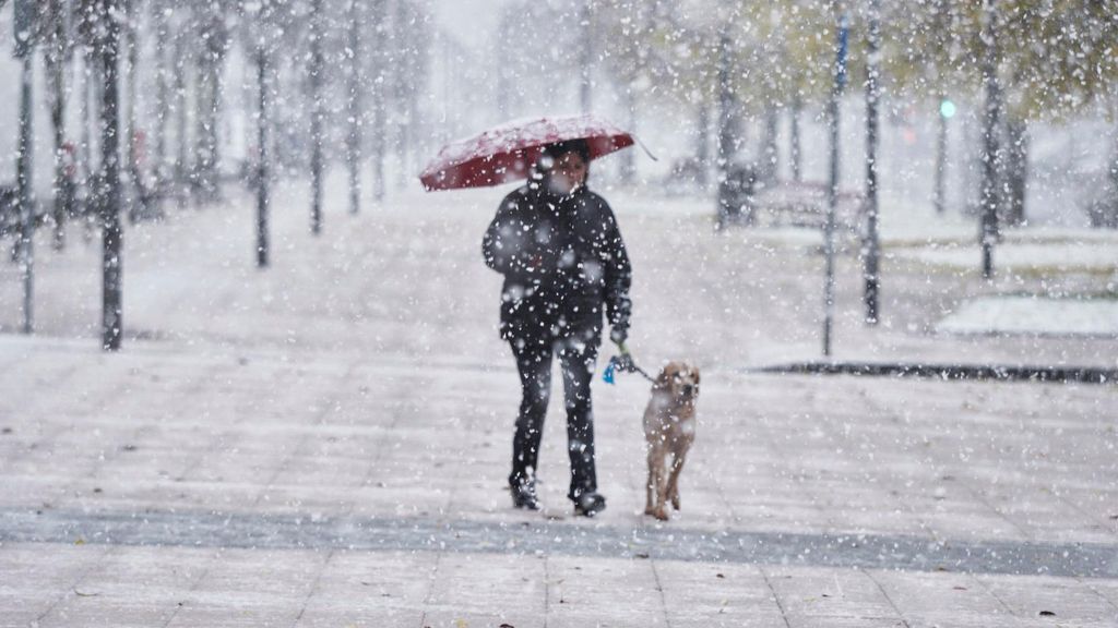 Archivo - Una mujer camina junto a su perro mientras nieva, a 28 de noviembre de 2021, en Pamplona, Navarra (España).