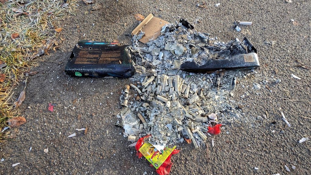 Cinco muertos, decenas de heridos y más de 400 detenidos en las celebraciones de Año Nuevo en Alemania