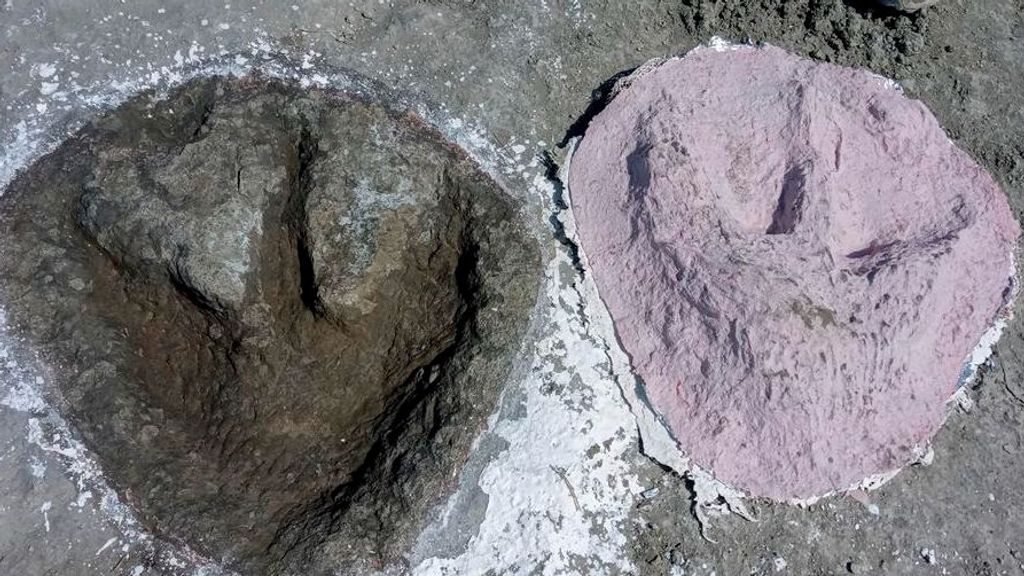 Descubren el mayor yacimiento de huellas de dinosaurios del Reino Unido