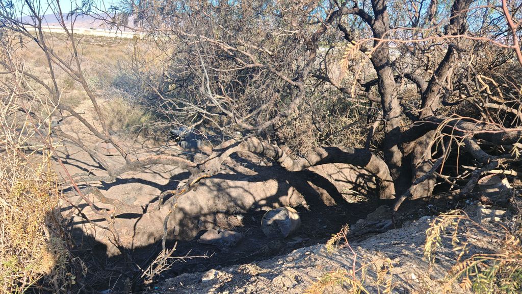 Lugar donde Francisco intentó quemar el cadáver de Meri, la mujer asesinada en Almería