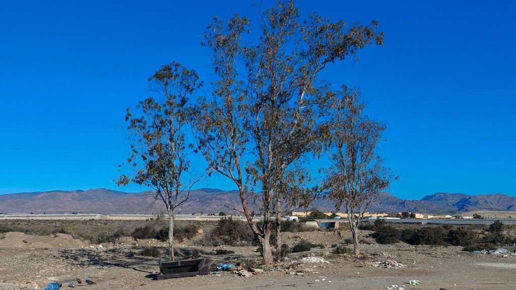 Lugar donde Francisco intentó quemar el cadáver de Meri, la mujer asesinada en Almería