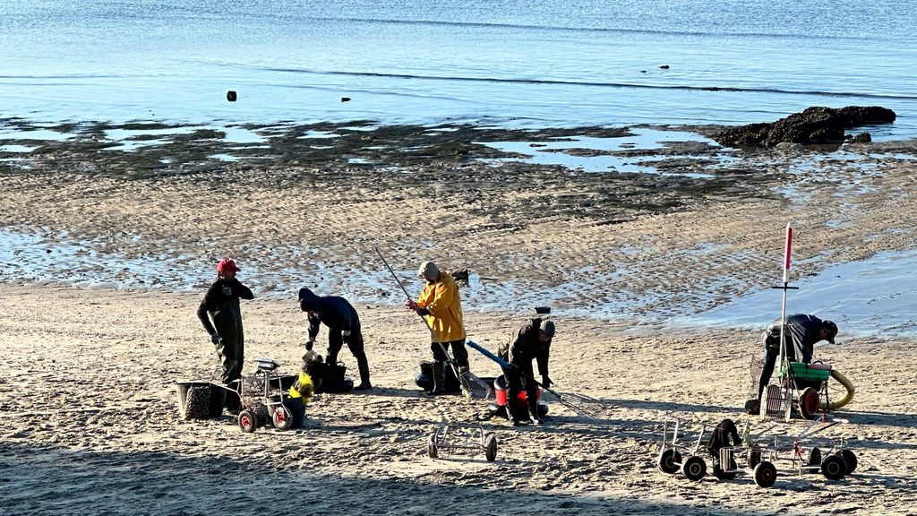 Mariscadores y mariscadoras trabajando en la ría de Pontevedra estas Navidades