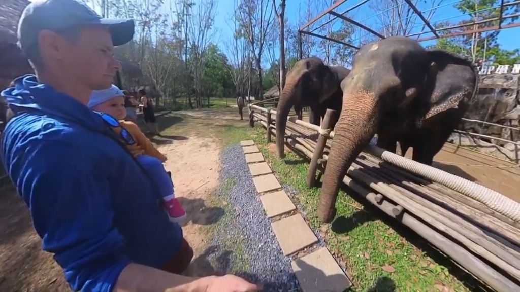 Muere una turista española al ser atacada por un elefante en Tailandia