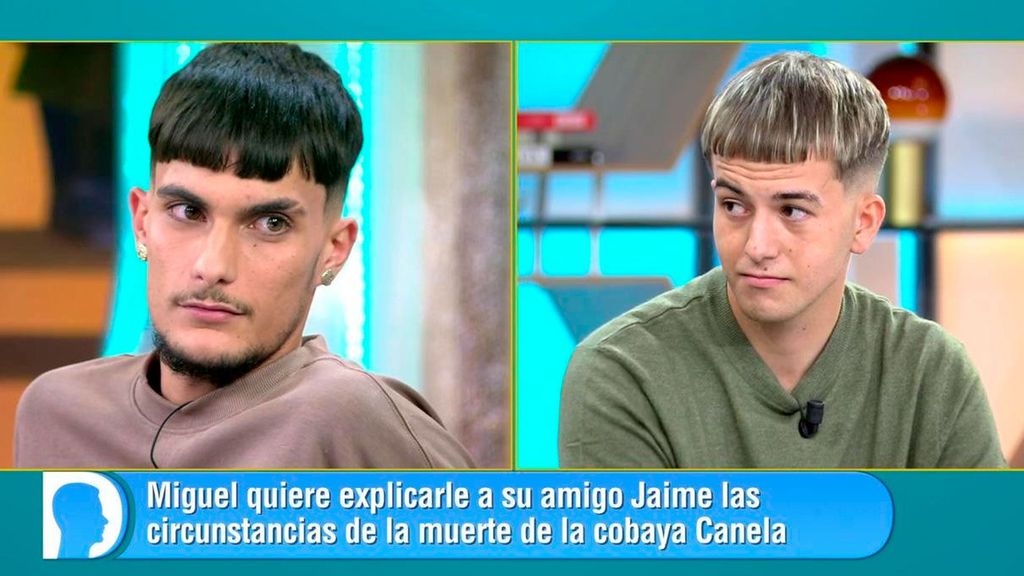 El brutal enfado entre dos amigos por las extrañas circunstancias en la que murió la cobaya Canela: "Para mí era muy importante" El diario de Jorge 2025 Top Vídeos 342