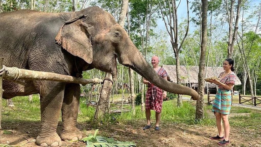 Un elefante del centro 'Koh Yao Elephant Care, en Tailandia