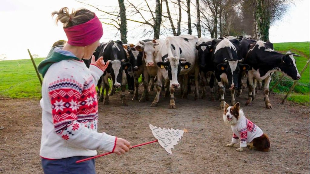 Las cabalgatas del mundo rural: Reyes Magos en tractores y que desfilan entre vacas