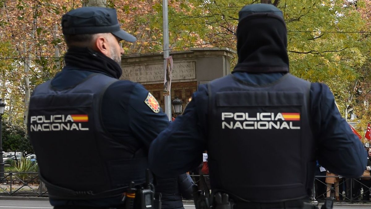 Dos agentes de la Policía Nacional