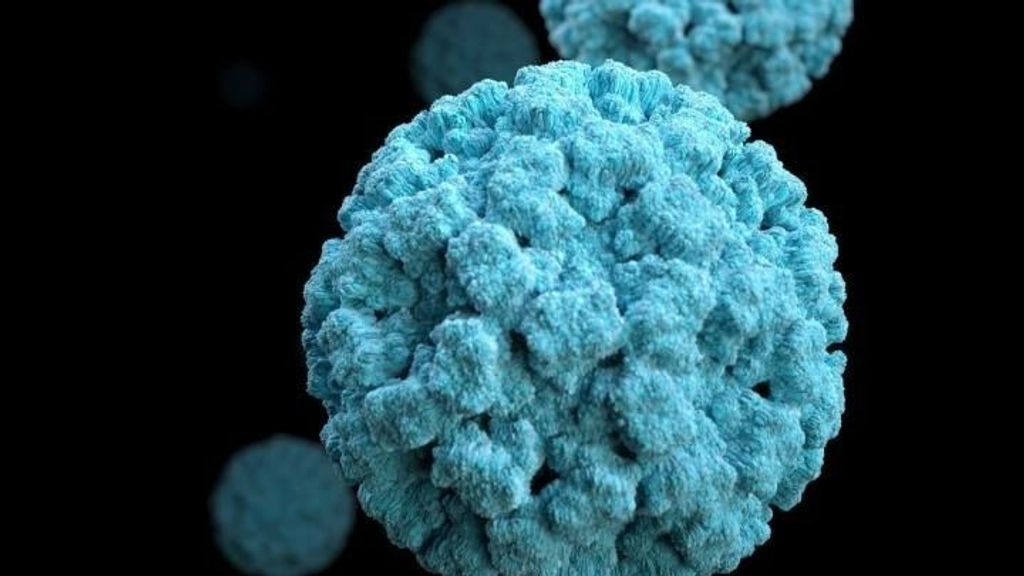 Norovirus, el virus que se ha sumado a la gripe y el covid estas Navidades para colapsar centros sanitarios