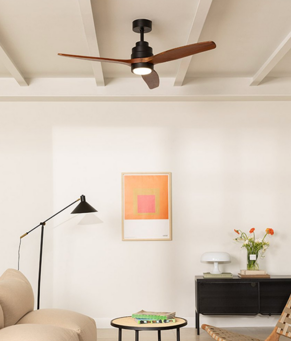 Ventilador de techo con luz Windstylance DC