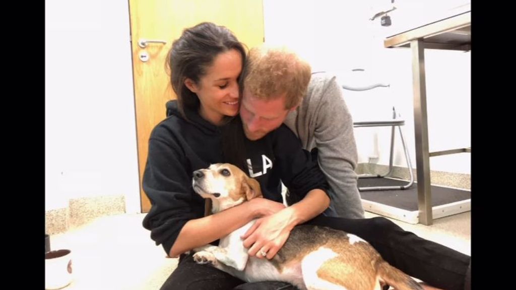 Meghan Markle y Harry con su perro Guy.