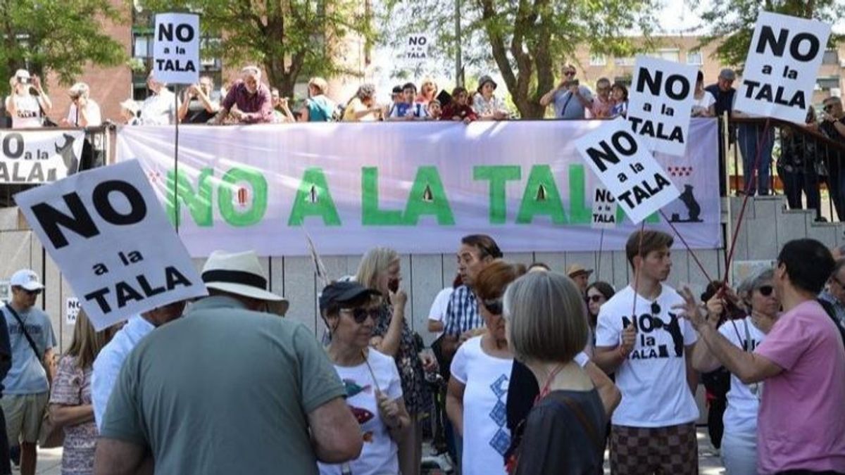 Protesta vecinal en Madrid contra la tala de árboles.