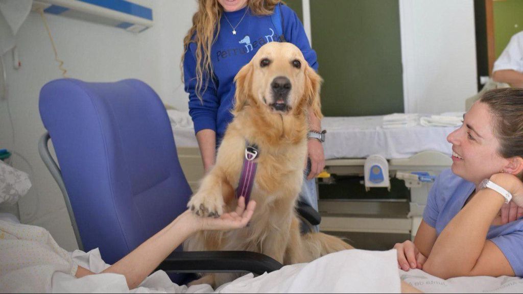 Un momento de la terapia asistida con animales en el Hospital Clínico de Málaga