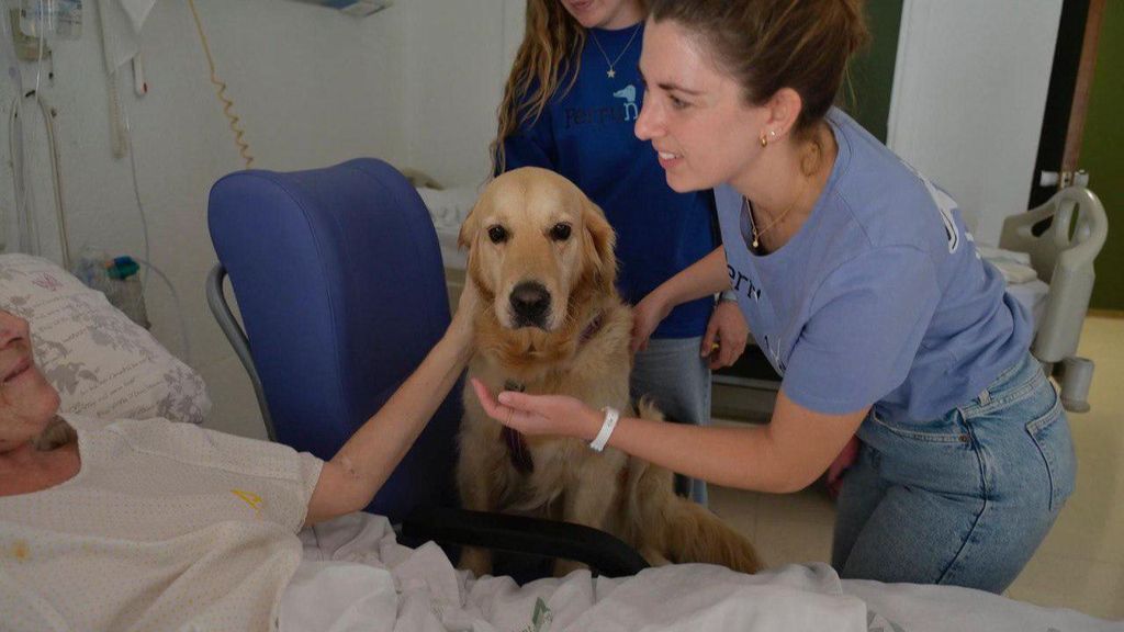 Un momento de la terapia asistida con animales en el Hospital Clínico de Málaga