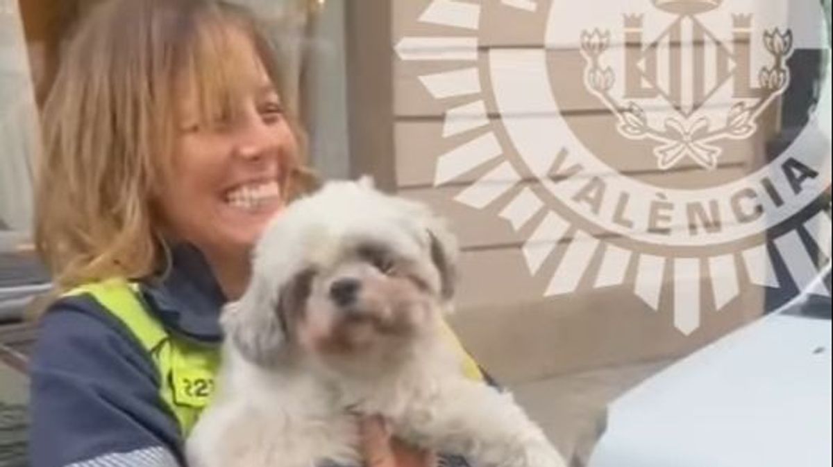 La Policía Local de Valencia recupera a Chincho, un perro encerrado en un coche robado