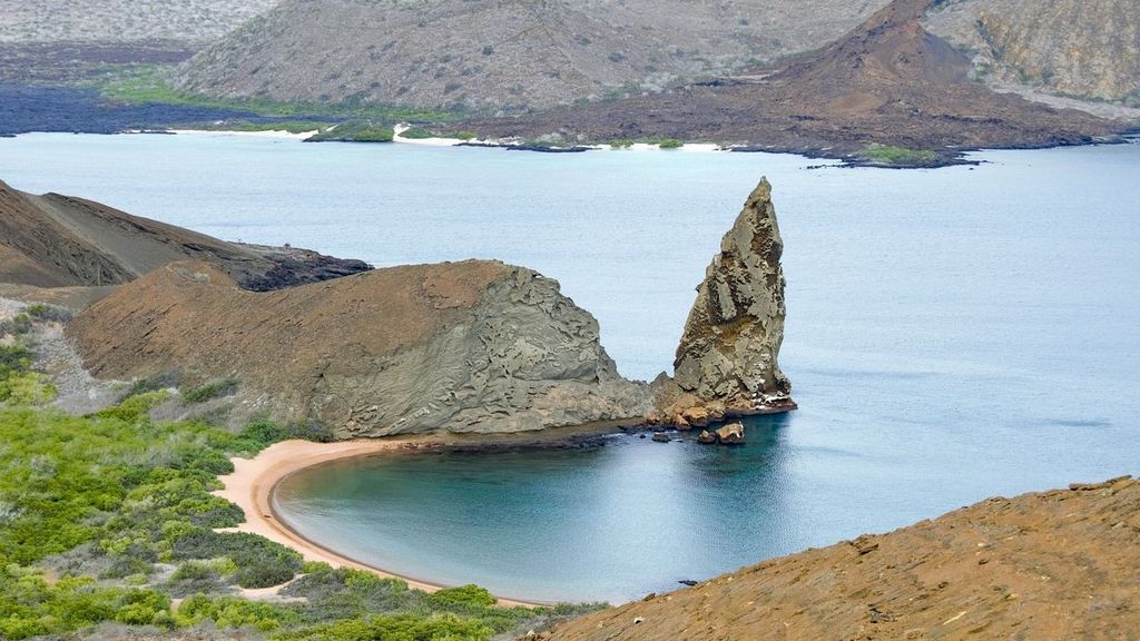 En las Islas Galápagos se puede encontrar una diversidad especial