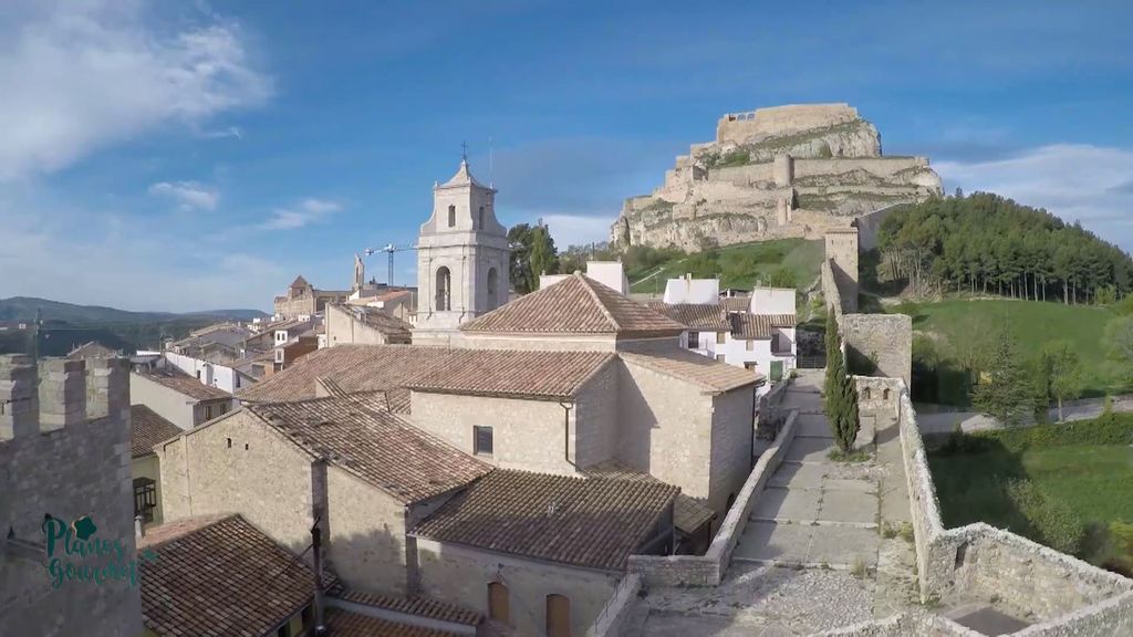 La trufa negra de l'Alt Maestrat Planes Gourmet Temporada 2 Programa 63